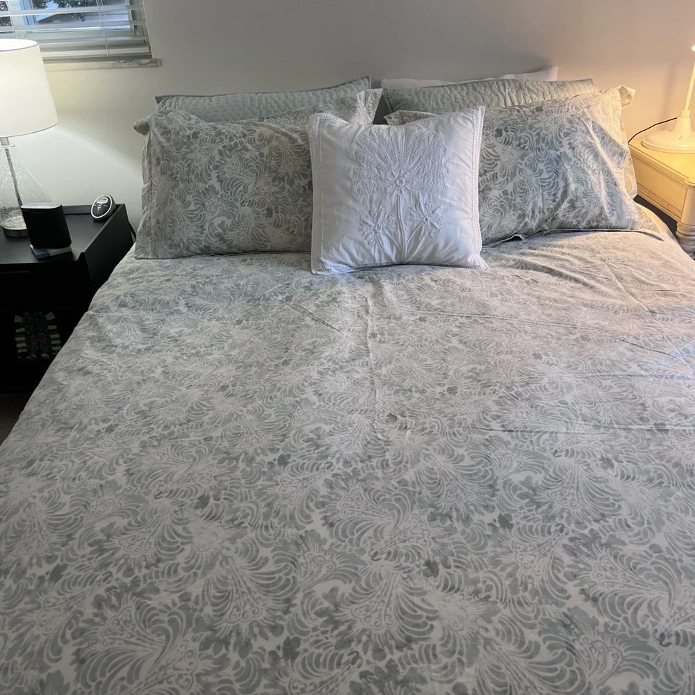 Pottery Barn Queen Duvet with shams